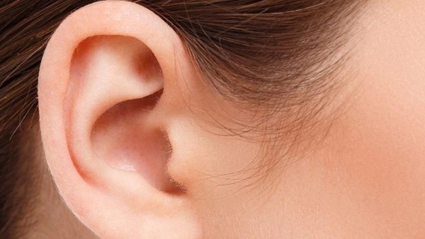 Telinga berdenging-1633351101