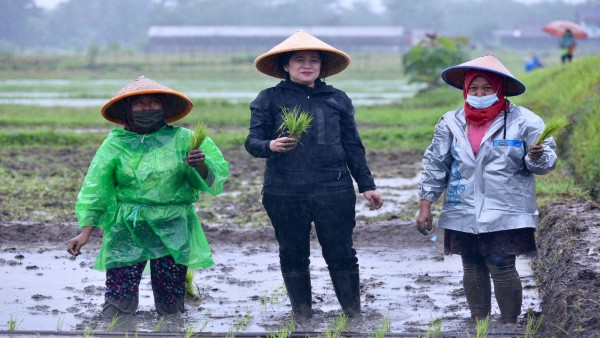 Ketua DPR RI Puan Maharani-1636617820