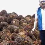 Mendag Zulhas-1659502384