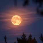 Supermoon-1660204068