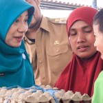 Ketua TP-PKK Provinsi NTB-1665024185