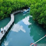 Kawasan Tahura Ngurah Rai di Bali (ANTARA/HO-Antaranews)-1668071506