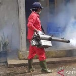 Petugas Kesehatan Dinas Kesehatan Kabupaten Mukomuko melakukan pengasapan di lokasi yang ditemukan kasus DBD di sebuah pemukiman penduduk. ANTARA/HO-Istimewa-1668134029