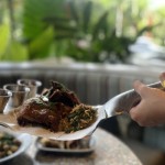 The Garden-1673597170