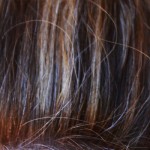 Uban Rambut-1677582387