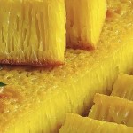 Bika Ambon-1681283613