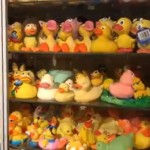 Bebek Karet-1697256829