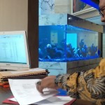 UTA '45 Jakarta-1702563464