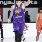 Pemain asing Tangerang Hawks, Nemanja Besovic-1708348222