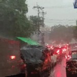 Pohon tumbang di Jalan Margonda Raya,-1713352142