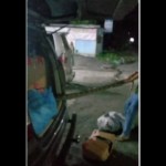 Ular piton. (tangkapan layar Instagram)-1713927679