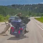 Harley-Davidson-1752045234