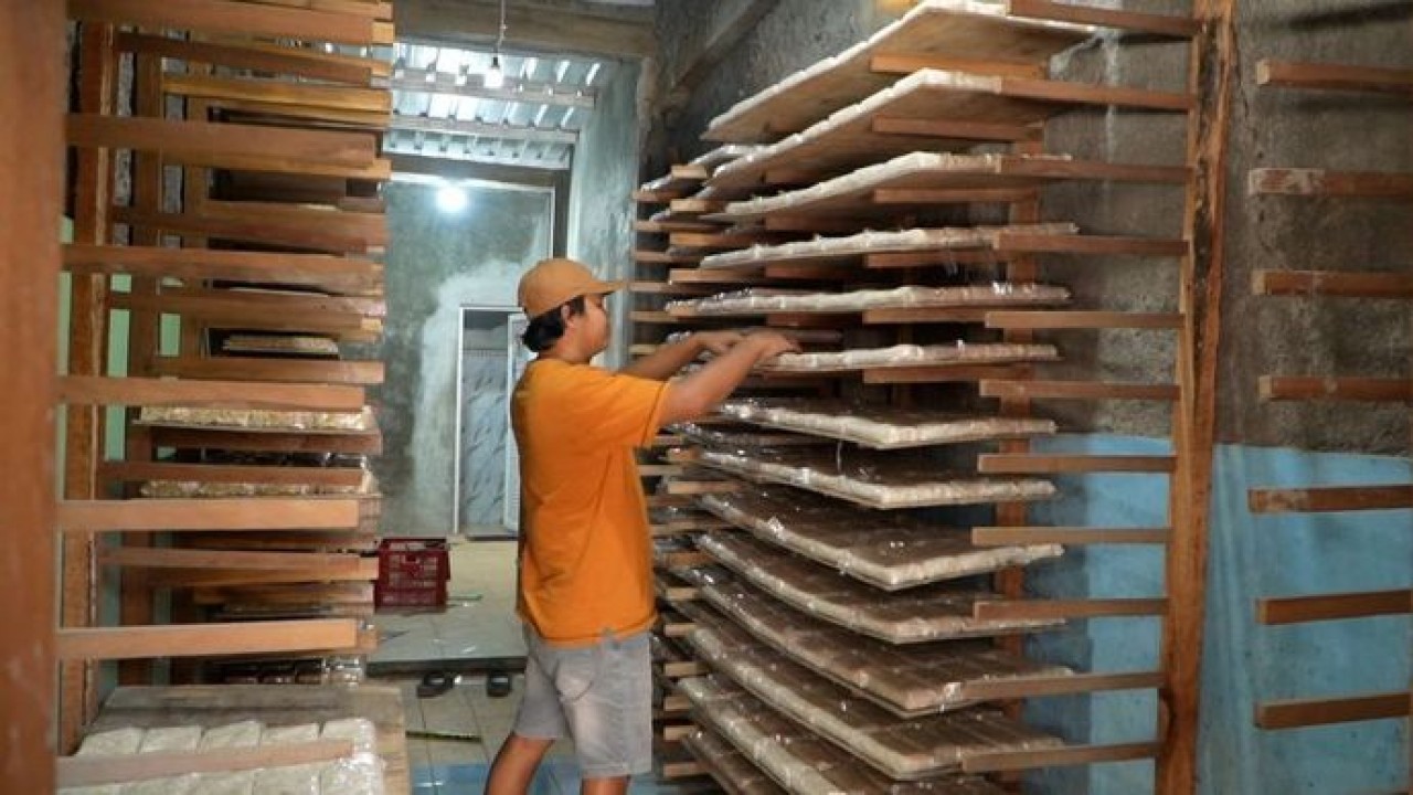 Aroma khas kedelai rebus sudah mulai tercium sejak pagi di sebuah rumah produksi tempe sederhana di Desa Jatimalang, Kecamatan Tawangsari, Kabupaten Sukoharjo. (Dok.Ntvnews.id)