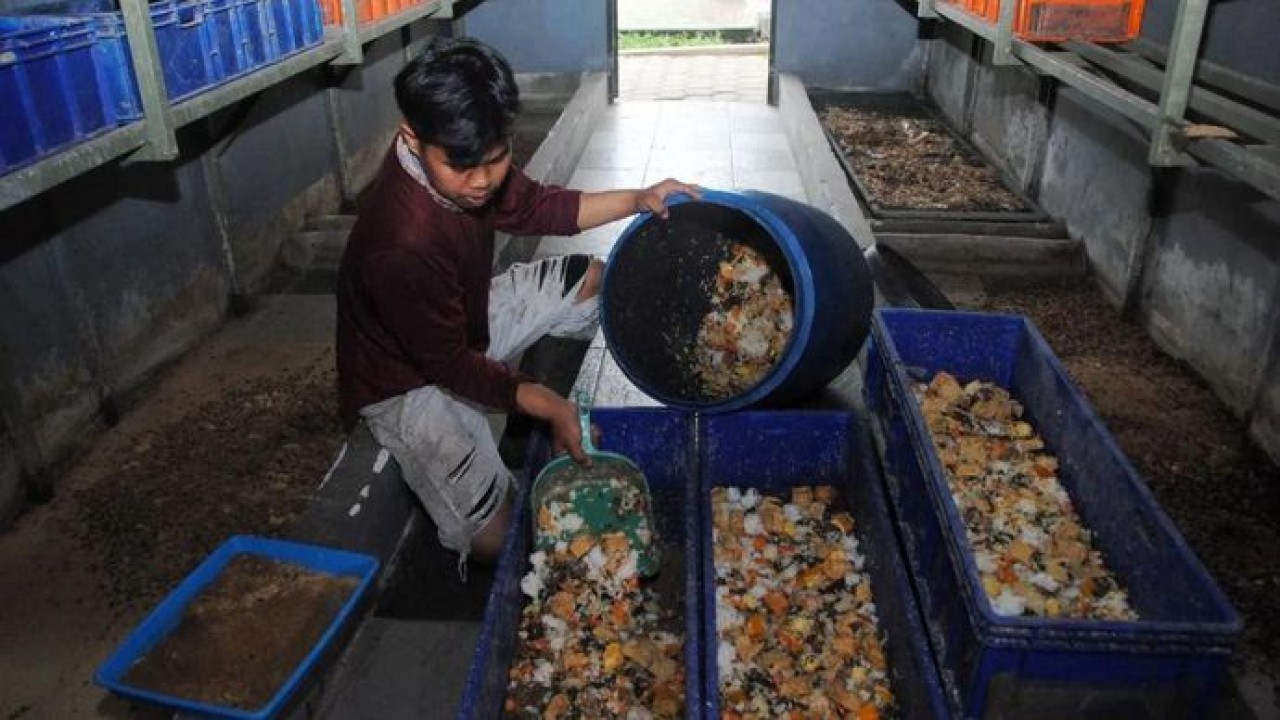 Pekerja menyiapkan pakan untuk maggot dari limbah sisa Makan Bergizi Gratis (MBG) di Satuan Pelayanan Pemenuhan Gizi (SPPG) Yayasan Mutiara Keraton Solo (YMKS) di Tamansari, Kabupaten Bogor, Jawa Barat, Selasa 16 Desember 2025. Badan Gizi Nasional (B (Antara)