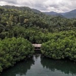 Hutan-1786418353