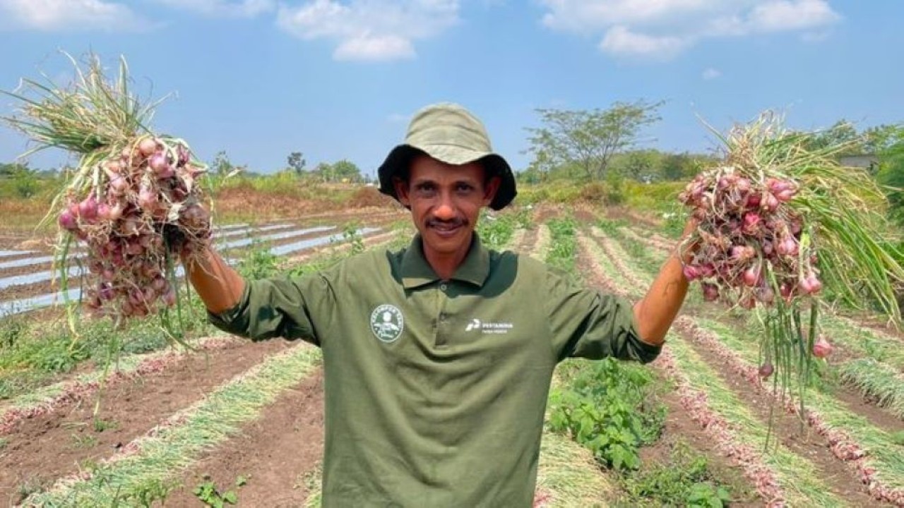 Mengubah Kemarau Menjadi Harapan, Pertamina Dampingi Petani Boyolali Bangkit dan Lebih Sejahtera.