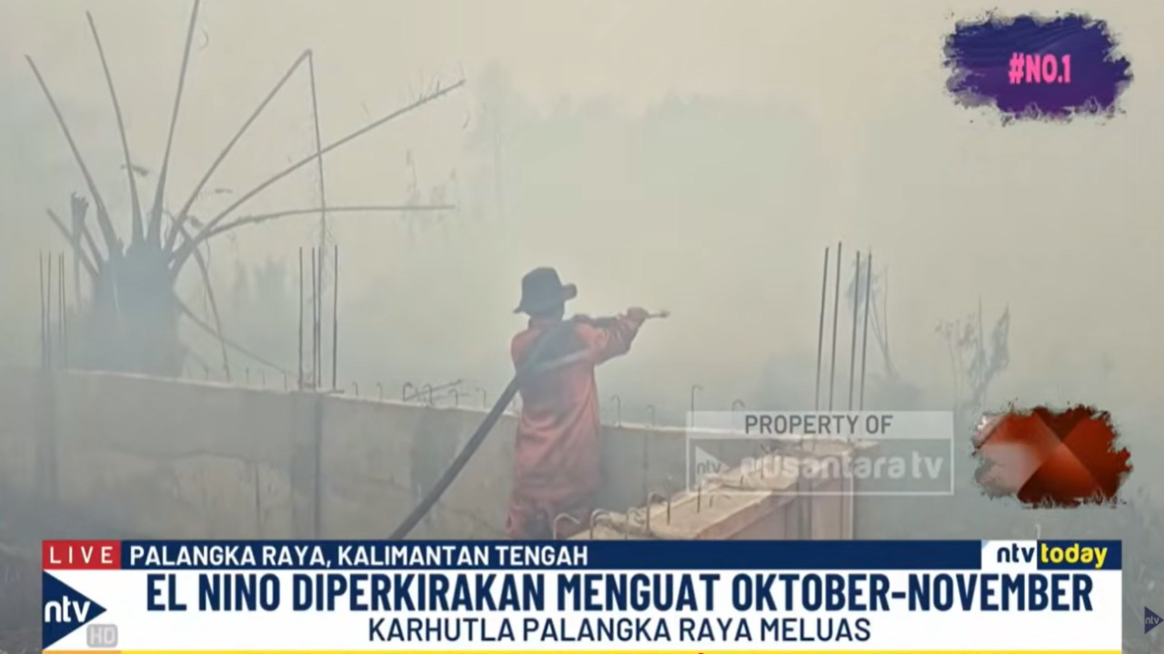 Kebakaran hutan dan lahan (Karhutla) kian meluas di sejumlah wilayah Indonesia termasuk Palangka Raya, Kalimantan Tengah.